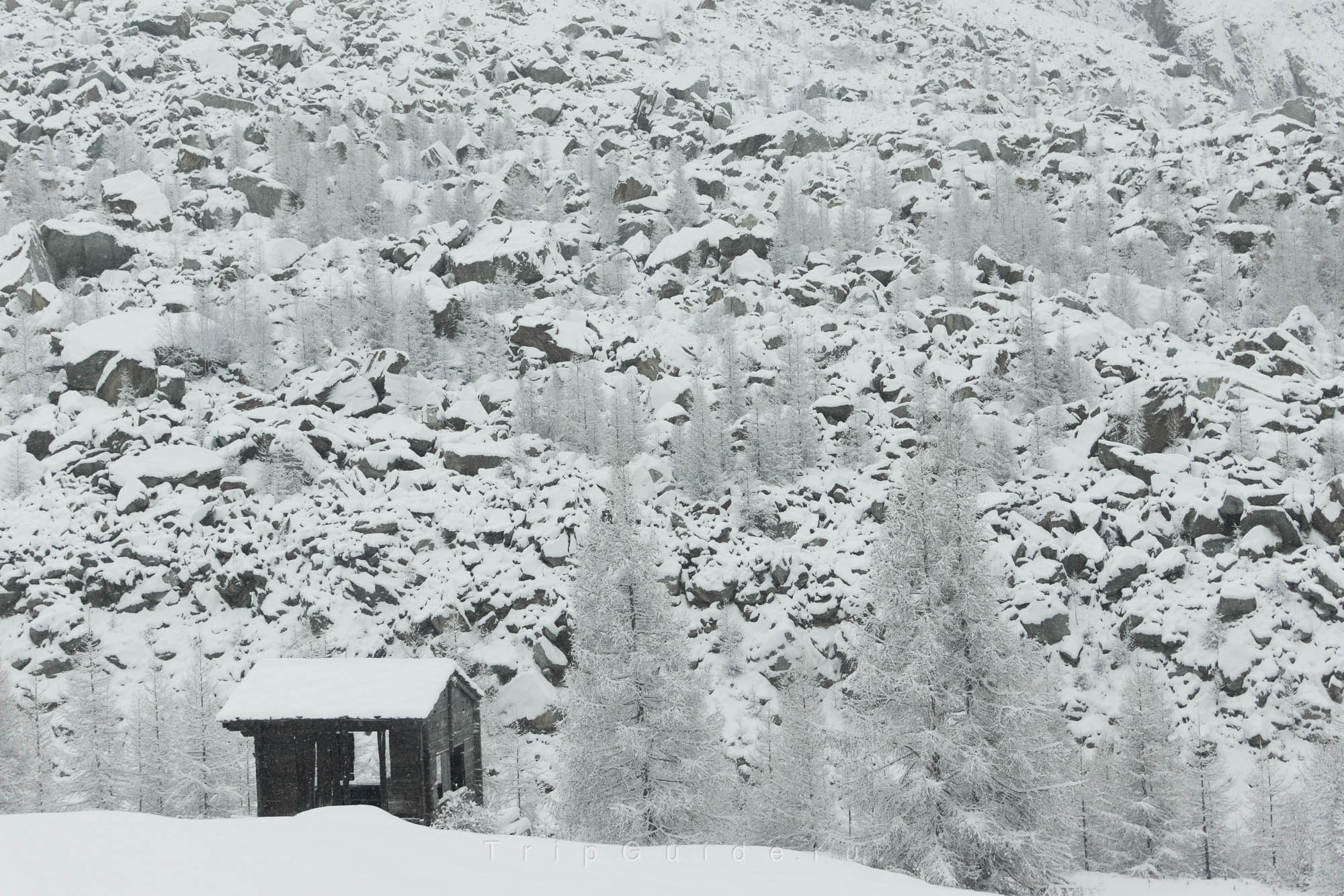 Ледниковый экспресс (Glacier express)
