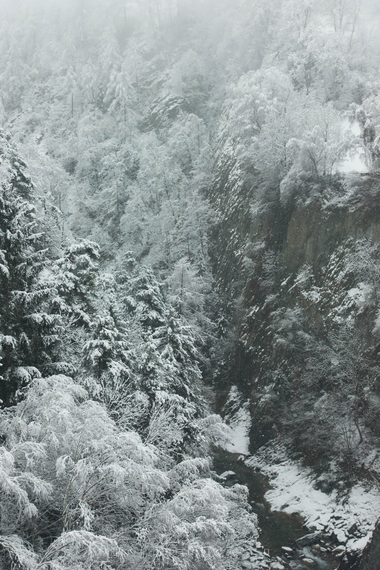 Ледниковый экспресс (Glacier express)